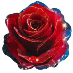 3D Flower Door Mat - Image 7